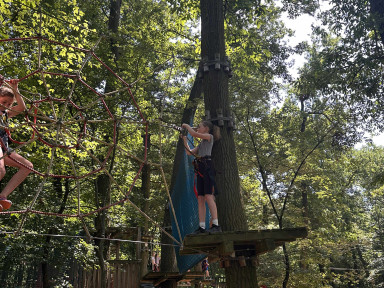 2ff7ce74-e564-44d6-a7d6-9f77120c9baf