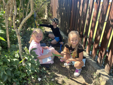 2aa914af-86a6-418d-ba93-86fe4cd4b440