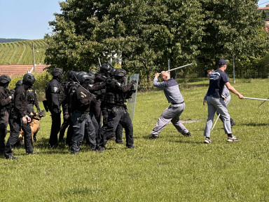 ebf7246a-3e46-4105-8b07-5d2eb9d17688