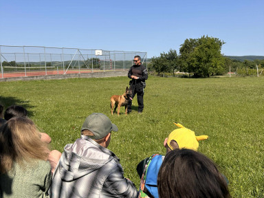 2f64bd02-ae71-4c0f-8d22-24830aa458ea