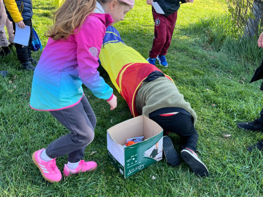 e5f257a9-16be-4ff8-a30f-c9fa71c6a0d5 (1)