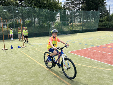 508276b7-27cf-4a5d-bb38-6ad45d5e00d2