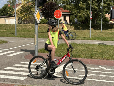 618864d4-e591-4619-a12d-edfba1d24286