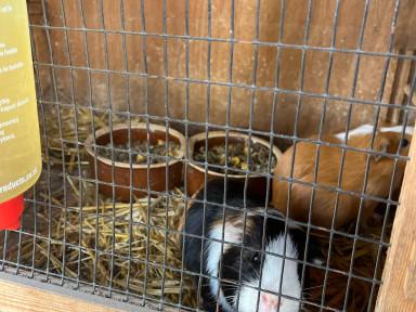 81c83ec3-ce2f-42e5-a635-a688beb72d1e