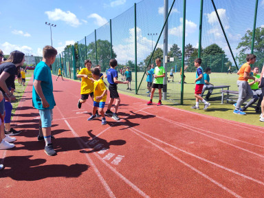 24d3f698-35a7-4e76-91b1-2bf38894f058