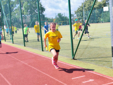 55a52b0a-bbc2-4c38-a9a4-a891784f338c