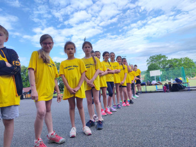 ca1d3005-465d-4313-83b7-876f3664376a