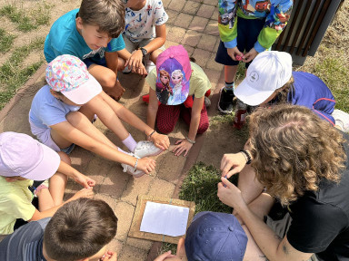 448807072_1254608092175027_352104406205373311_n