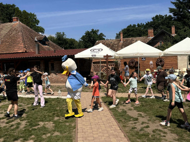 eadee1f6-37d2-4cee-9ca1-278f6d670ac6