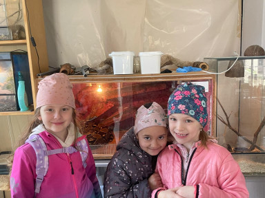 a6f26952-0c00-4584-bff0-e82dd30c8405